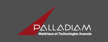 Logo Palladiam